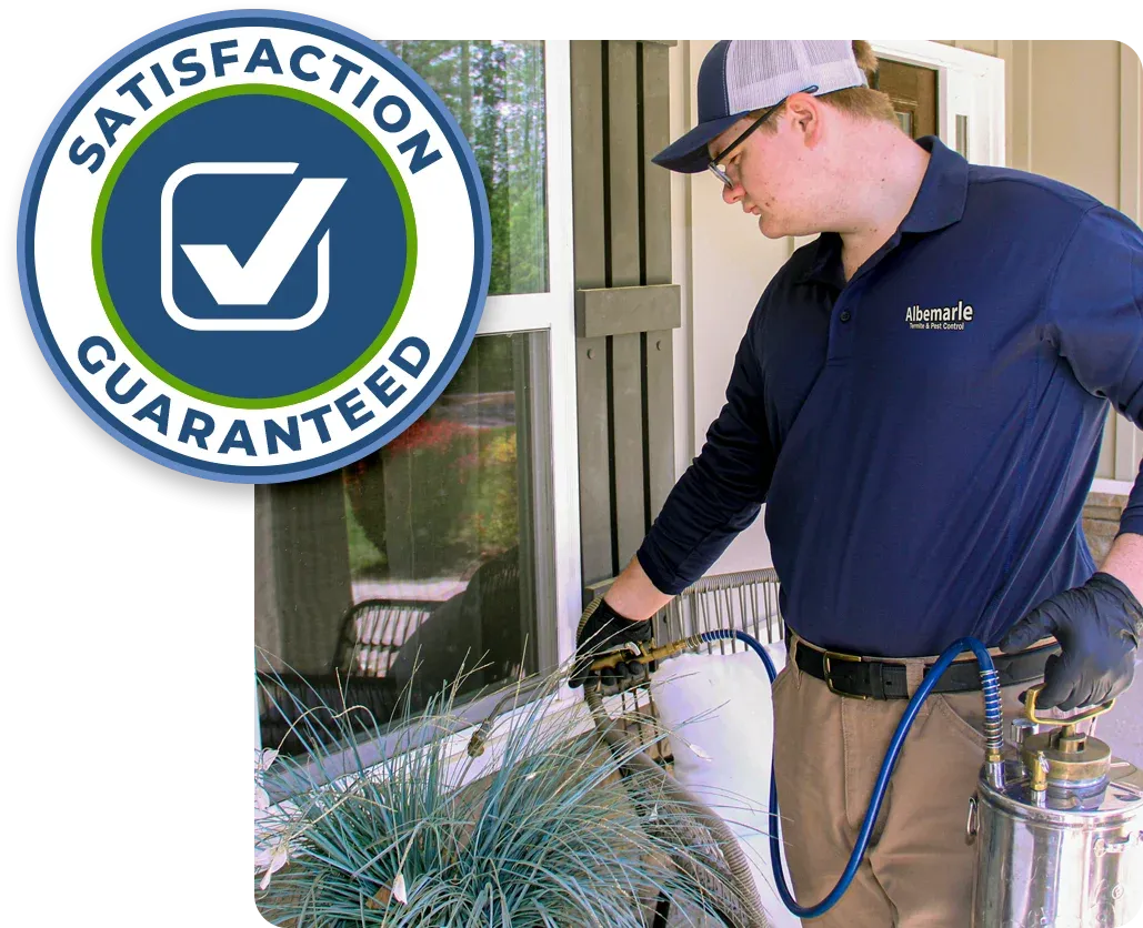 Technician spraying exterior of house